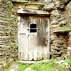 DSCN4311