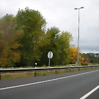 DSCN5246