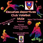 VOLEY24-1