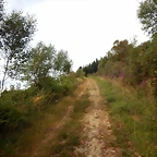 DSCN4388