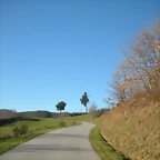 DSCN2994