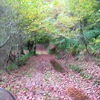DSCN6287