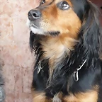 aramis3
