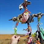 DSCN6268