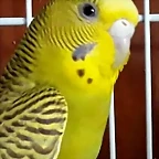 20170922_203734