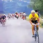 Perico-Tour1984-La Plagne-Fignon-LeMond-Arroyo