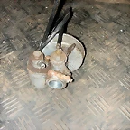 DSCN9908