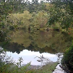 DSCN5289