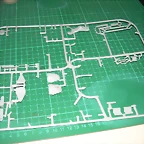 DSCN2251