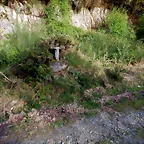 DSCN2103