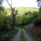 DSCN2102