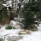 Amsterdam 29-12-2010 959