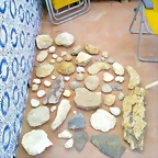 lote.jpg