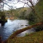 DSCN3751