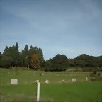 DSCN9728