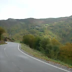 DSCN5923