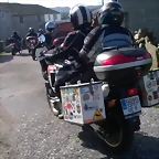 Lugo (81)