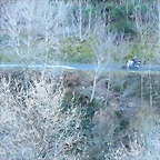 21-IMG_4436