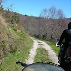 DSCN7933