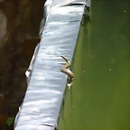 P1070236