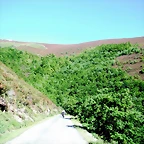 DSCF2667