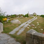 DSCN1530