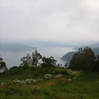 DSCN1533
