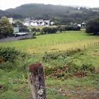 DSCN8367