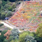29-IMG_3887