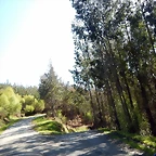 DSCN4359