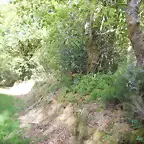 DSCN2091