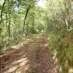 DSCN2092
