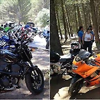 ALGAR6