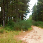 DSCN6306