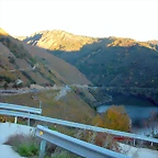 DSCN6531