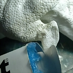 5a