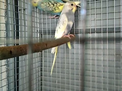 IMG_20170413_182035_2