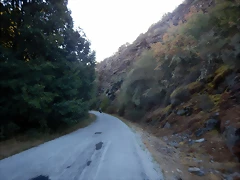 DSCN6215
