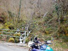 DSCN9164.JPEG DSCN9164.JPEG