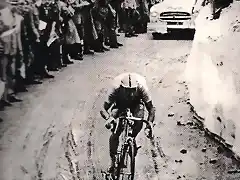 ANQUETIL,CORONANDO EL GAVIA 1960