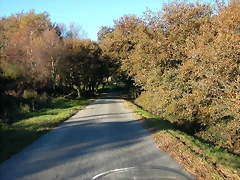 DSCN6630 DSCN6630