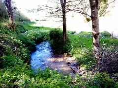 DSCN0060 DSCN0060