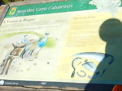 DSCN9037