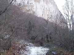 1 1