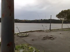 05122010719 05122010719
