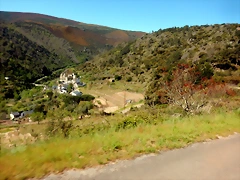 DSCN5523 DSCN5523