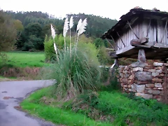 DSCN6336 DSCN6336