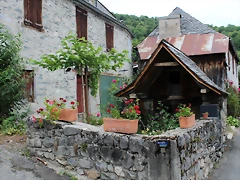 IMG_6601 IMG_6601