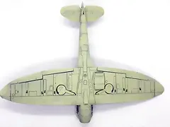 SDC39231 SDC39231