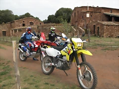 IMG_0397 IMG_0397